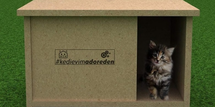 Atıl malzemeler kedi evi oluyor