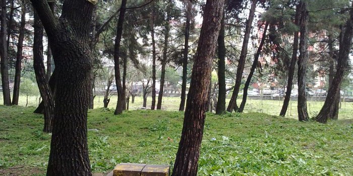 Bakırköy'e AVM iddiası meclis gündeminde