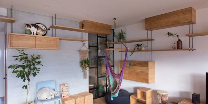Bu daire kediler için tasarlandı 