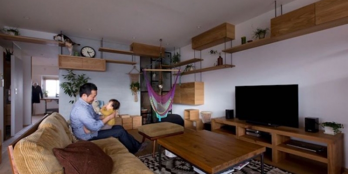 Bu daire kediler için tasarlandı 