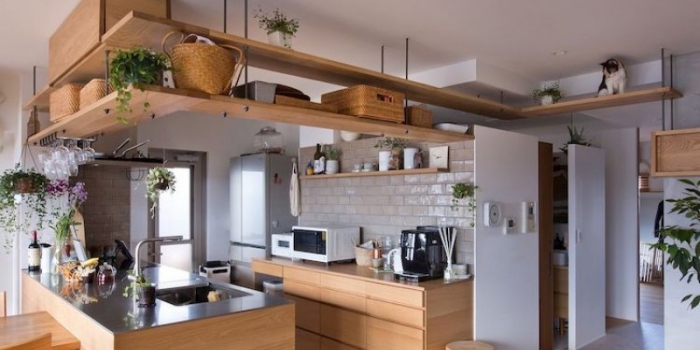Bu daire kediler için tasarlandı 