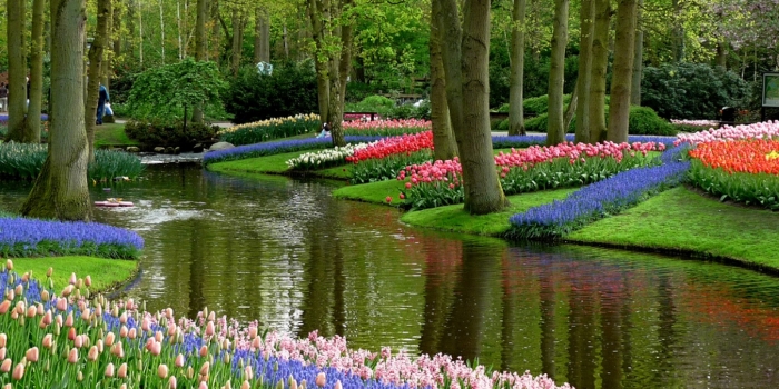 Bu köyde araba yasak: Giethoorn