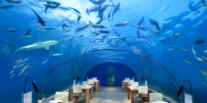 Doğanın bağrındaki 10 eşsiz otel