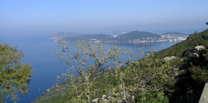 Dragos Tepesi tarihi