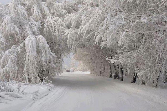 dunyanin-en-guzel-yerlerinden-buyuleyici-fotograflar-1460125296-4