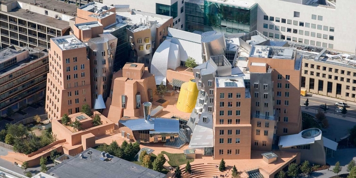 Frank Gehry kimdir?