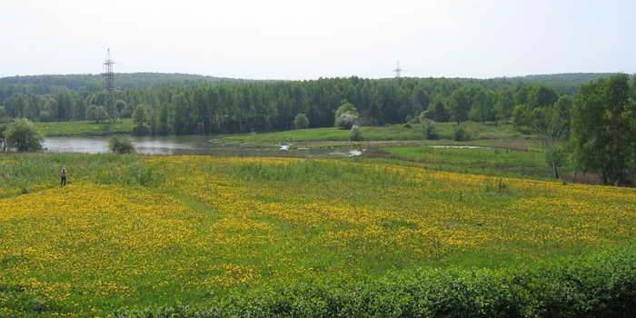 Gökdelenlere meydan okuyan şehir parkları