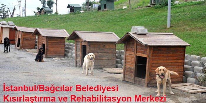 istanbulun-10-hayvan-barinagi-1444308282-1