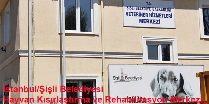 istanbulun-10-hayvan-barinagi-1444308282-4