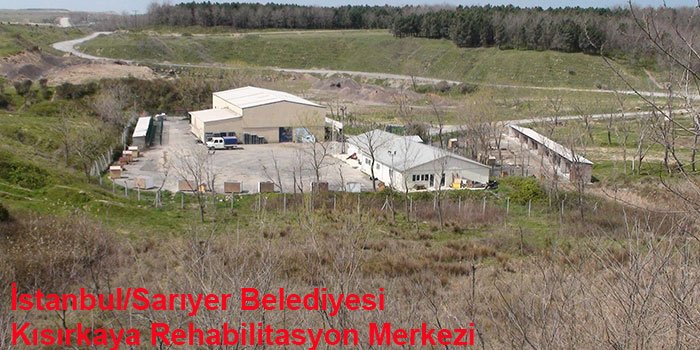 istanbulun-10-hayvan-barinagi-1444308282-5