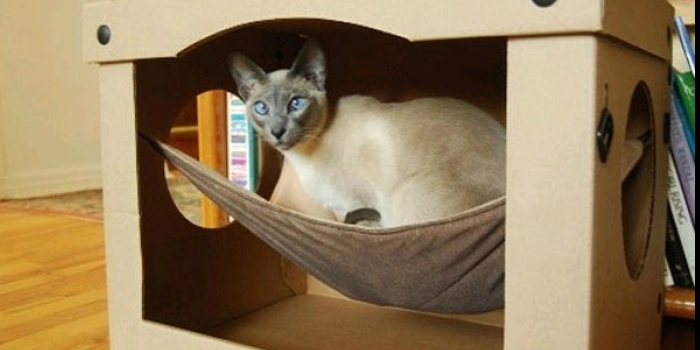 Kedi Evi nasıl yapılır?