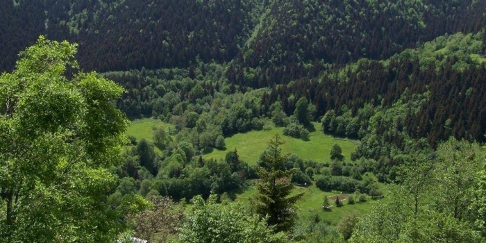 Madenin Artvin'e kaybettirdiği
