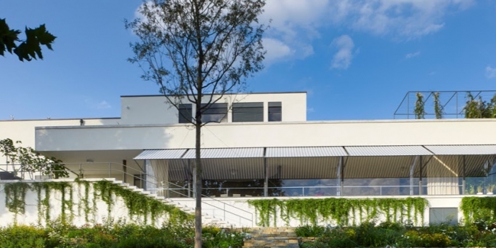 Mies van der Rohe kimdir?