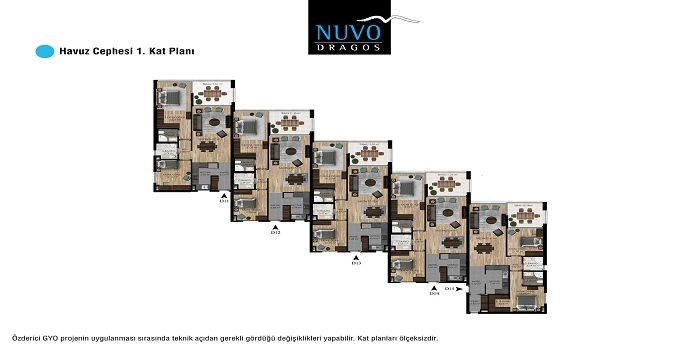 Nuvo Dragos