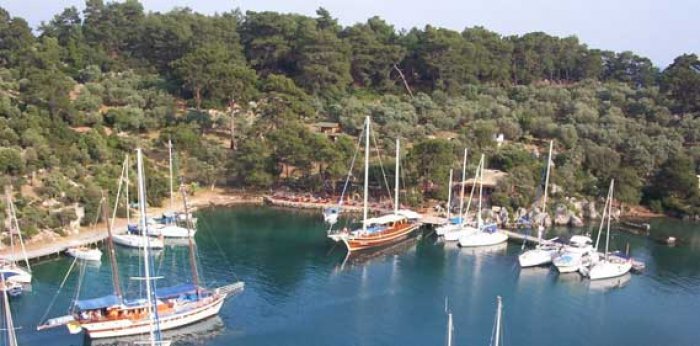 Orman Bakanlığı'ndan "Göcek Koyu" açıklaması