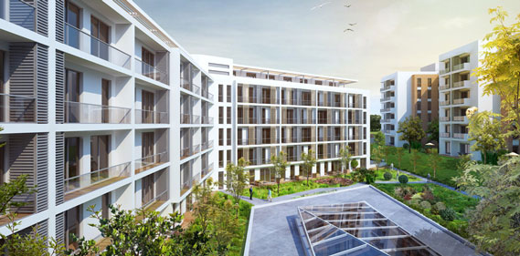 G Marin Managed by Divan G Marin Managed by Divan