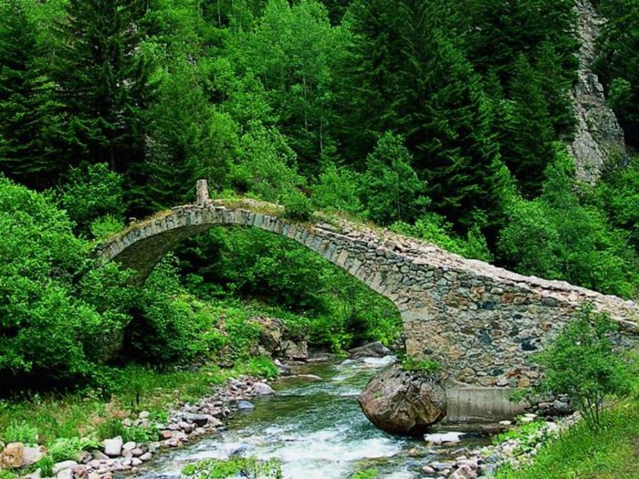 Rize Köysel Dönüşüm Projesi nedir?