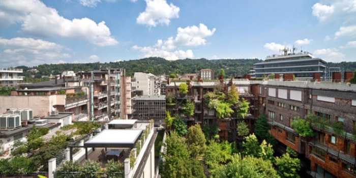 Şehrin merkezindeki ağaç apartman