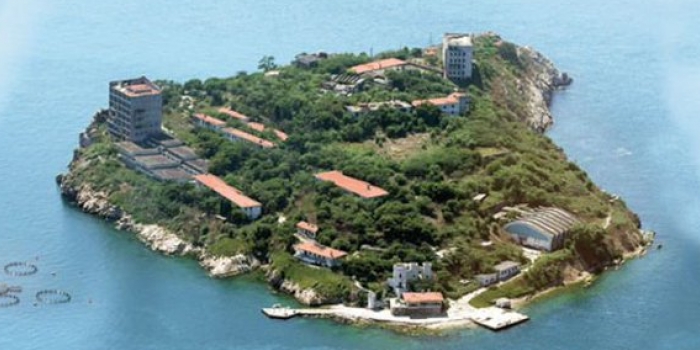 Yassıada'da artık ağaç yok