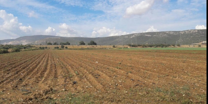 Yeni kanuna göre tarla satışı nasıl yapılıyor? 