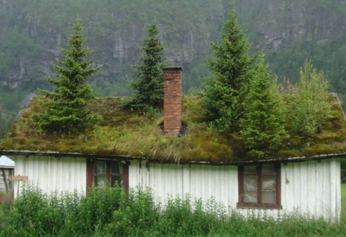 yesil-catili-binalar-1466077891-2